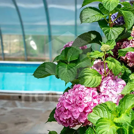 Blyan Family Hotel Chiflik (Lovech)