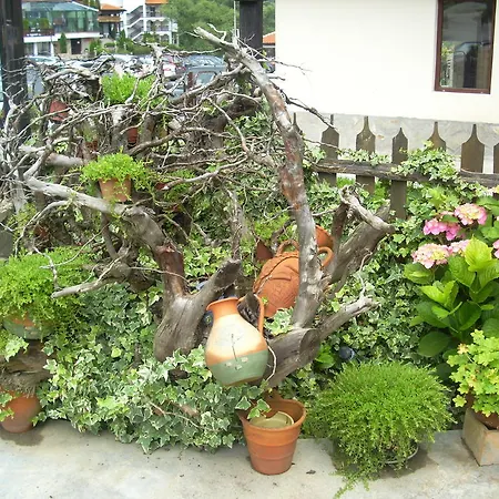 Blyan Family Chiflik (Lovech)